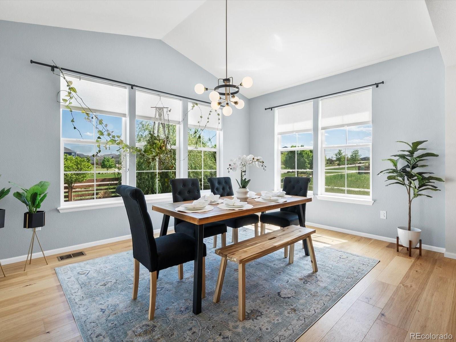 MLS Image #14 for 800  boulder peak avenue,erie, Colorado