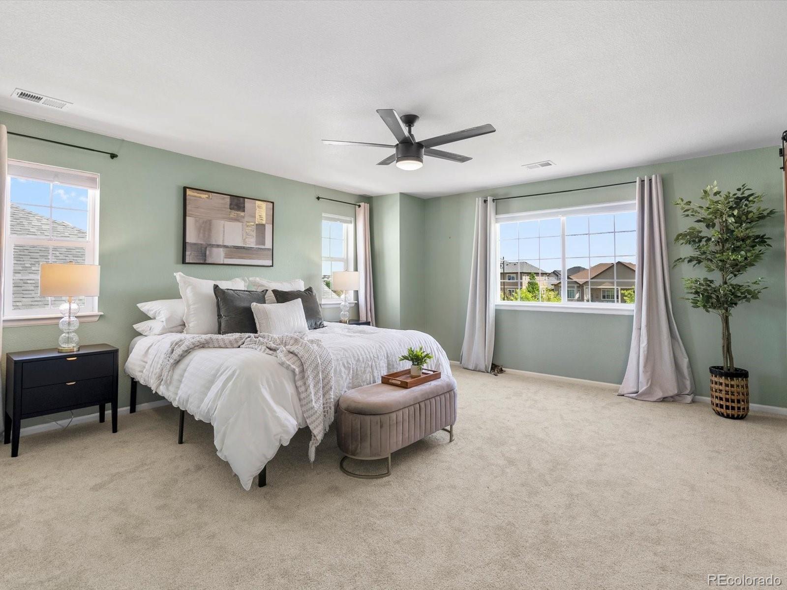 MLS Image #20 for 800  boulder peak avenue,erie, Colorado