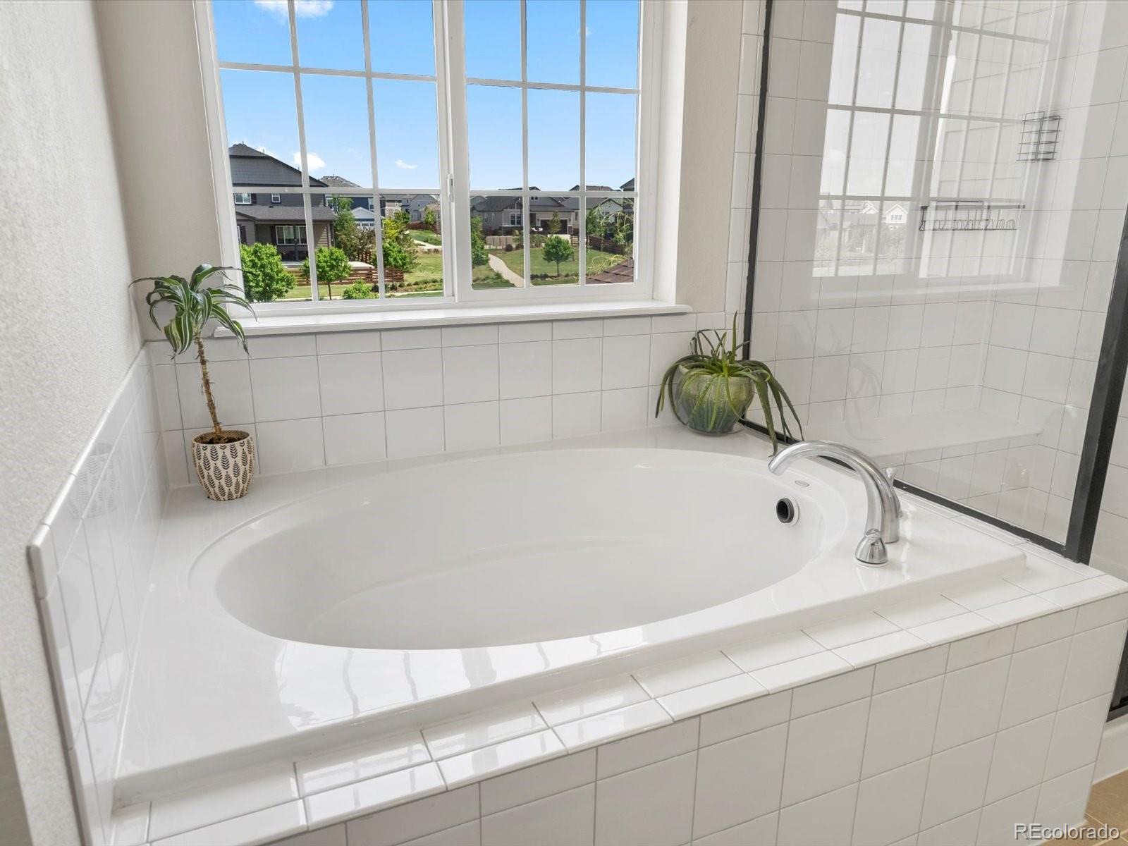 MLS Image #26 for 800  boulder peak avenue,erie, Colorado
