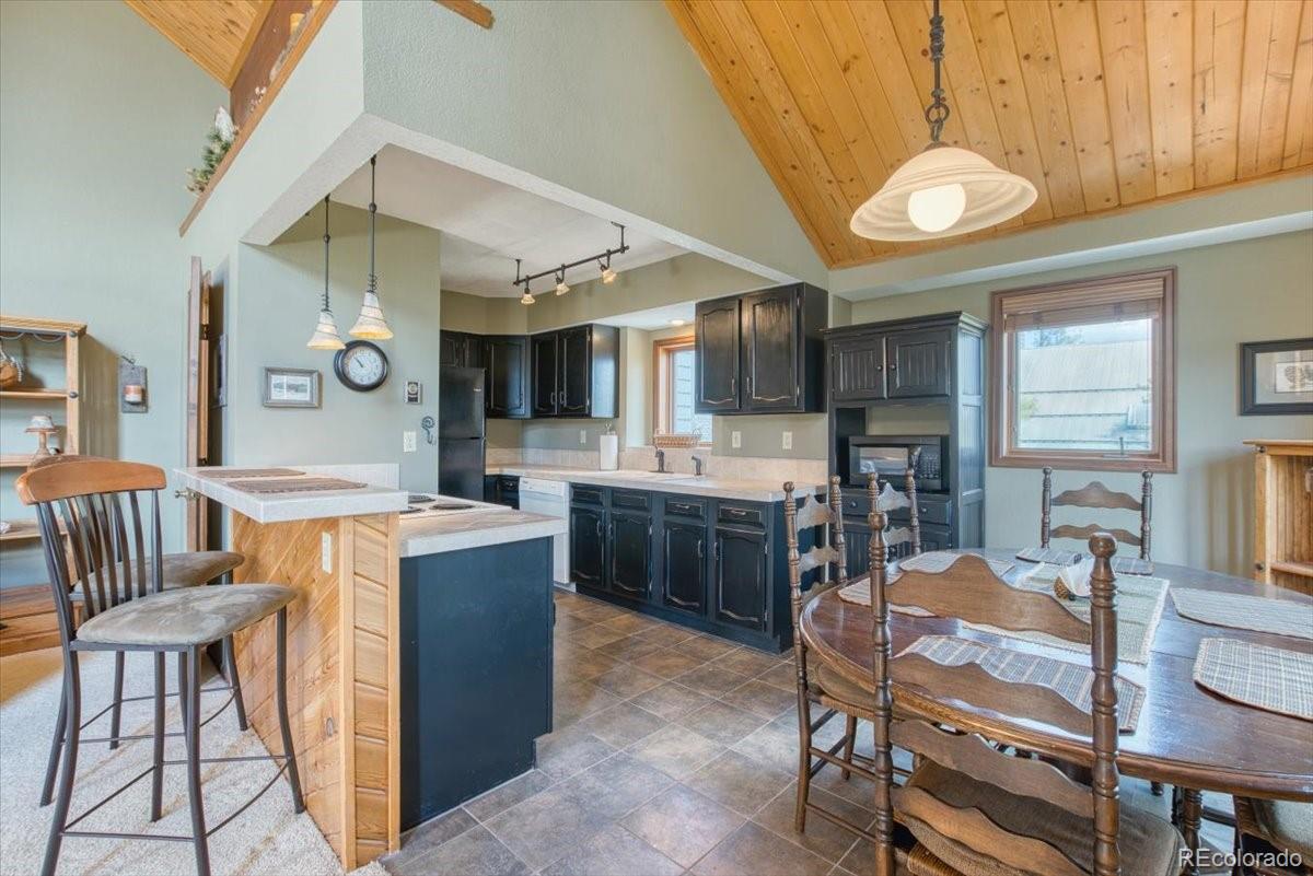 MLS Image #10 for 151  telemark drive,winter park, Colorado