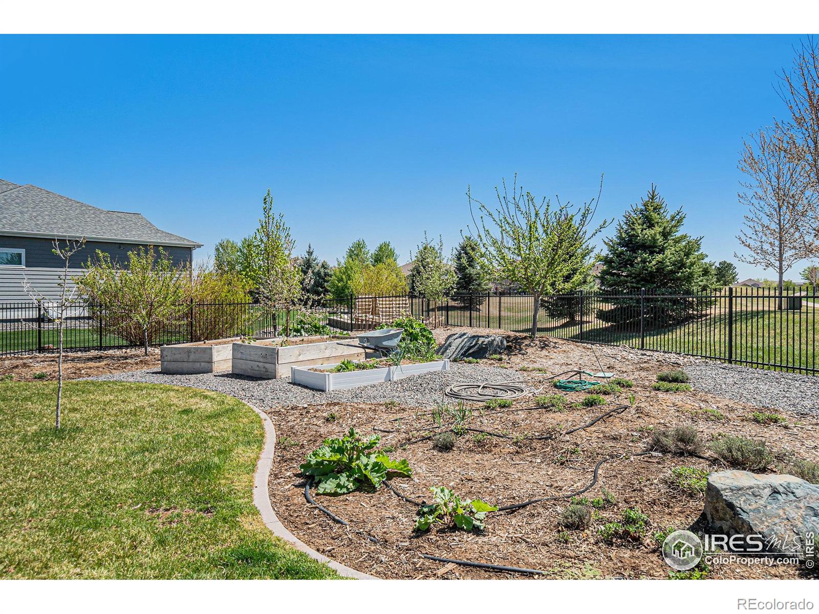 MLS Image #31 for 6712  olympia fields court,windsor, Colorado