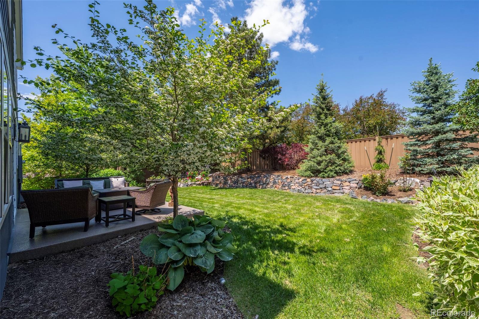 MLS Image #5 for 1113  southbury place,highlands ranch, Colorado