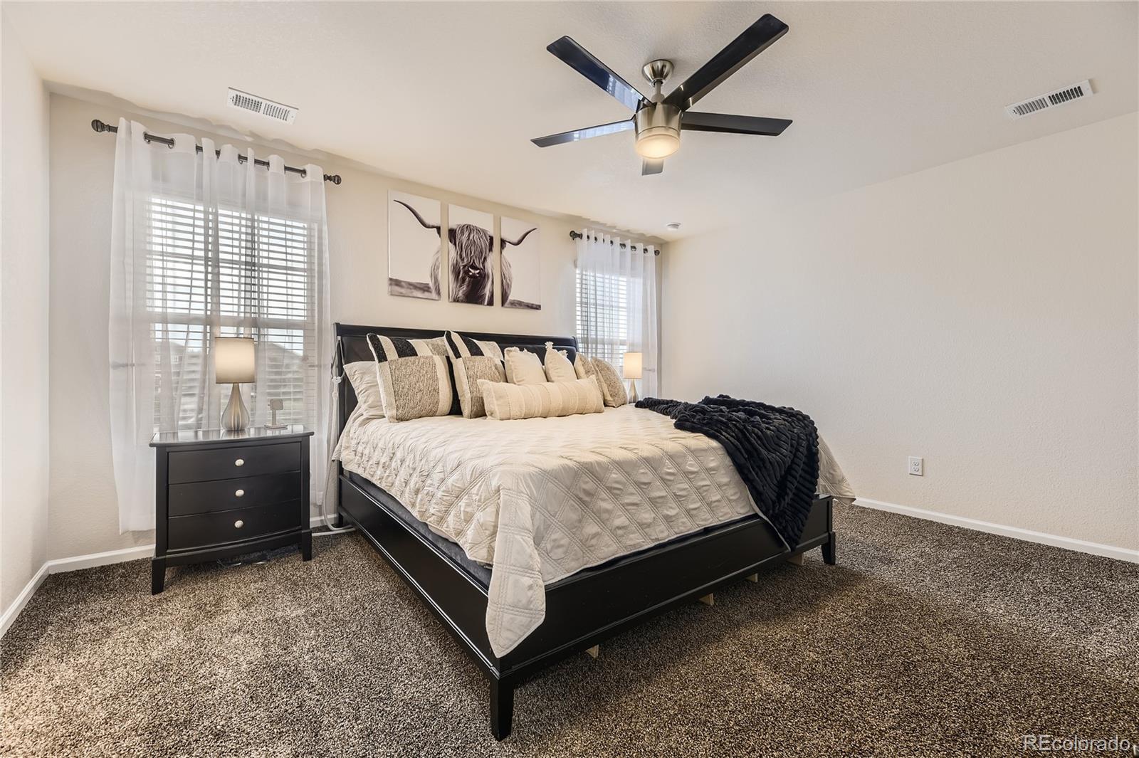 MLS Image #17 for 7833  bandit drive,castle rock, Colorado