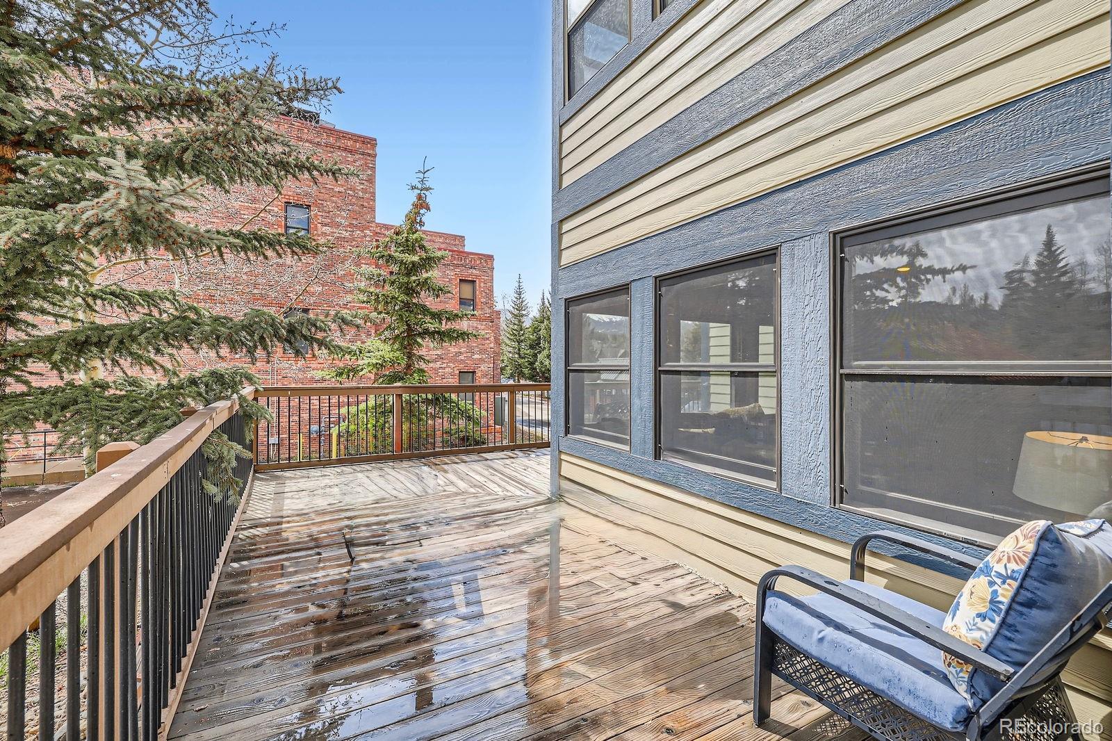 MLS Image #20 for 107 n harris street,breckenridge, Colorado