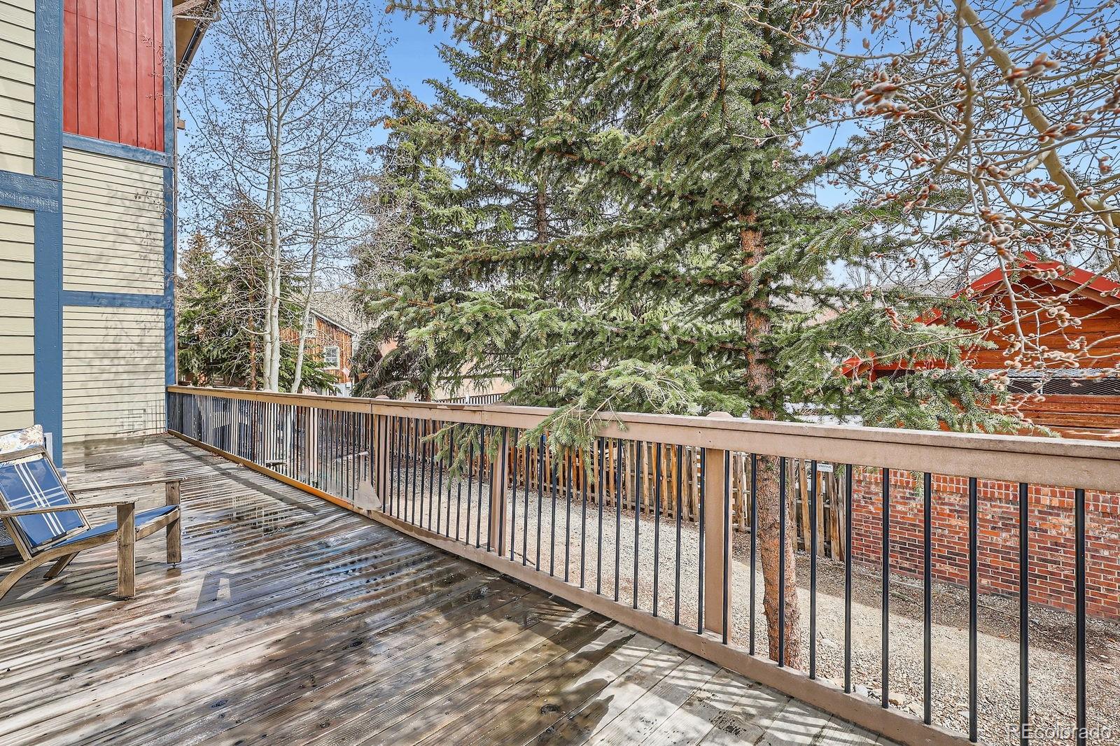MLS Image #21 for 107 n harris street,breckenridge, Colorado
