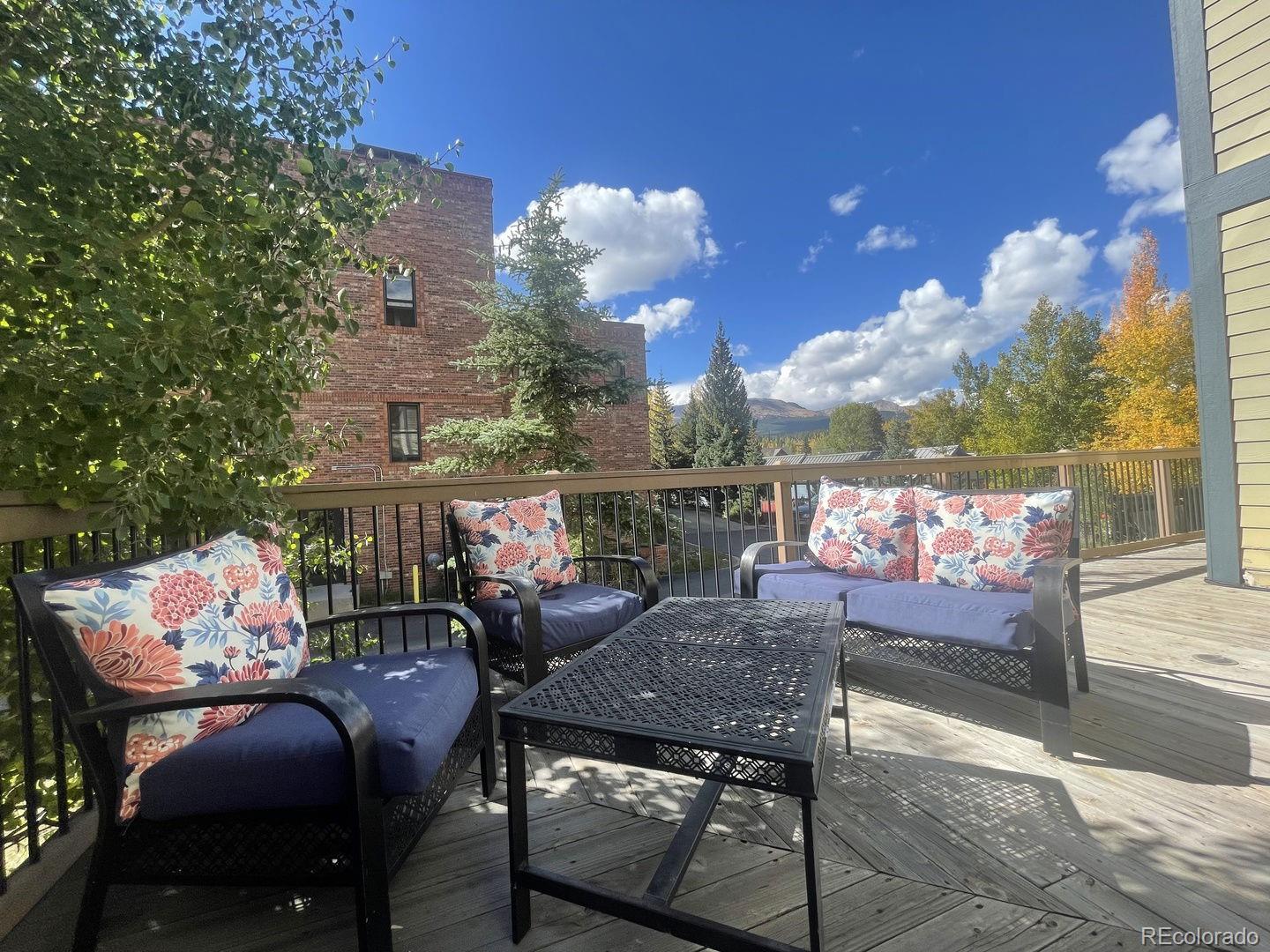 MLS Image #22 for 107 n harris street,breckenridge, Colorado