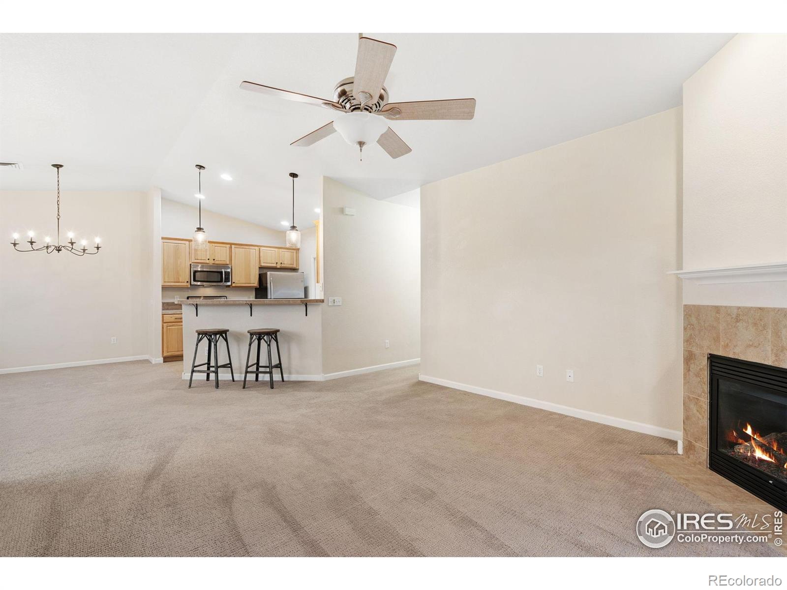 MLS Image #4 for 2502  owens avenue,fort collins, Colorado