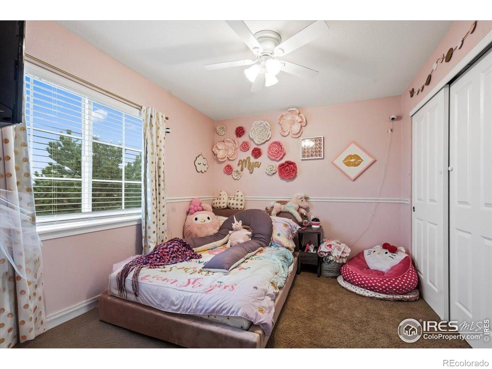 MLS Image #13 for 15800 e 121st avenue,brighton, Colorado