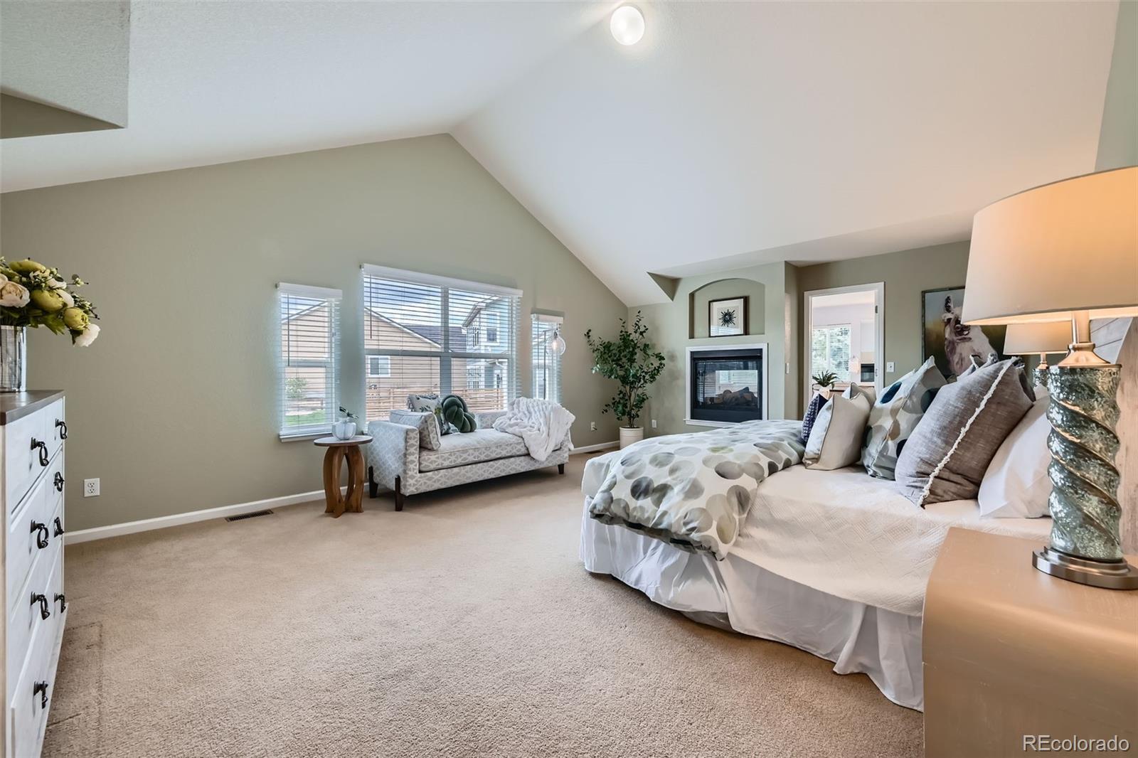 MLS Image #12 for 22991  hope dale avenue,parker, Colorado