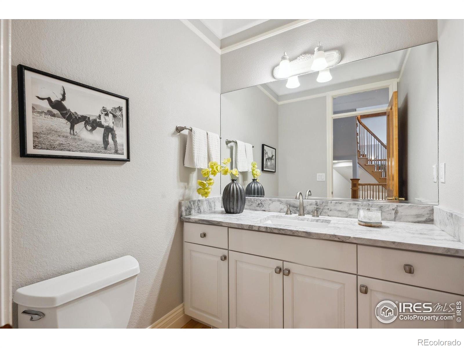 MLS Image #11 for 4059  nevis street,boulder, Colorado