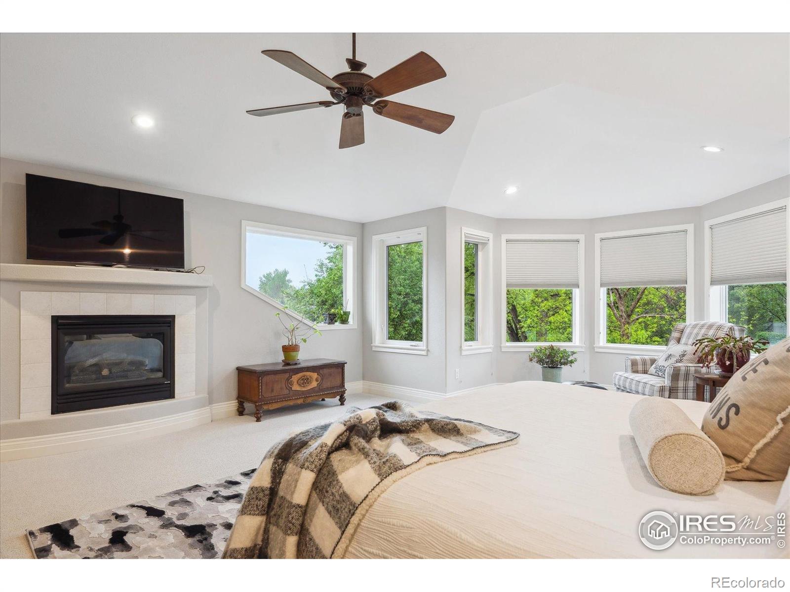 MLS Image #18 for 4059  nevis street,boulder, Colorado