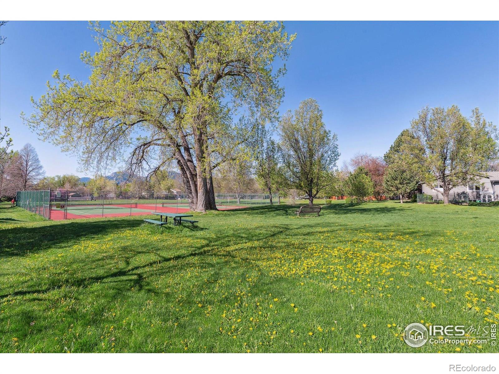 MLS Image #36 for 4059  nevis street,boulder, Colorado