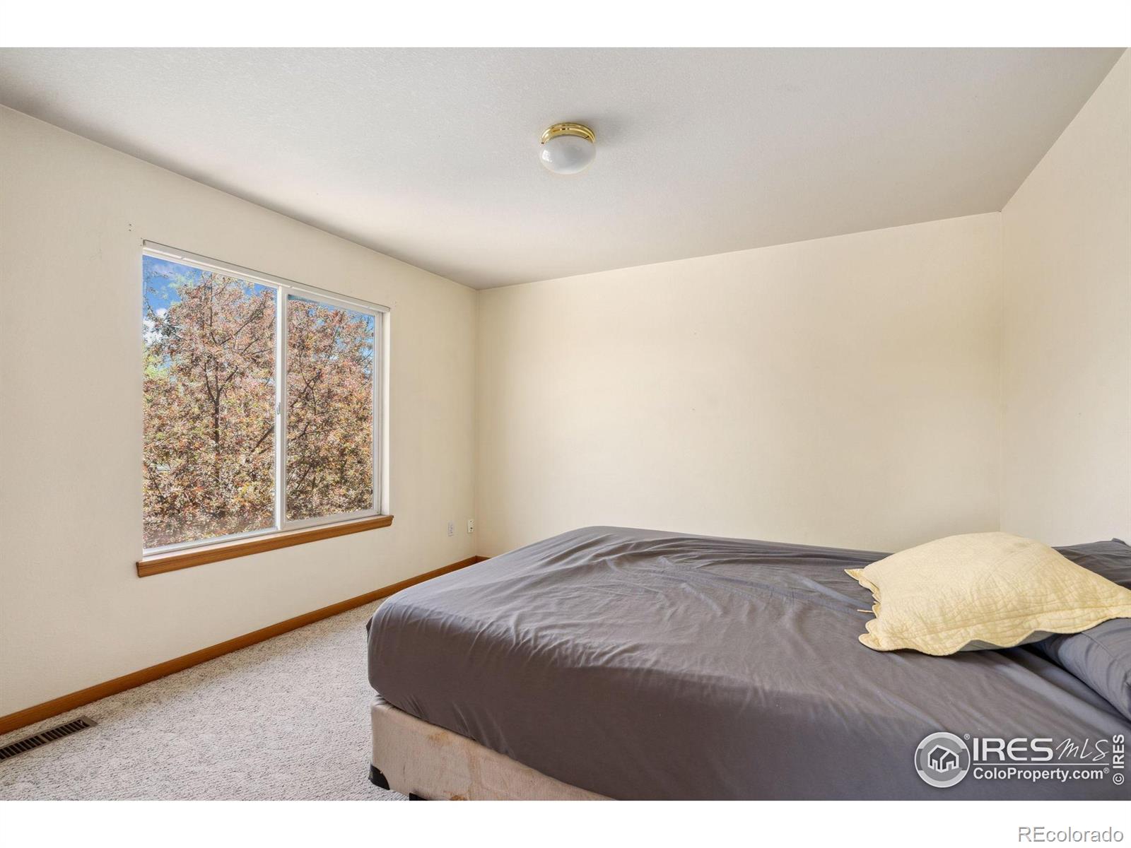 MLS Image #15 for 4238  gemstone lane,fort collins, Colorado