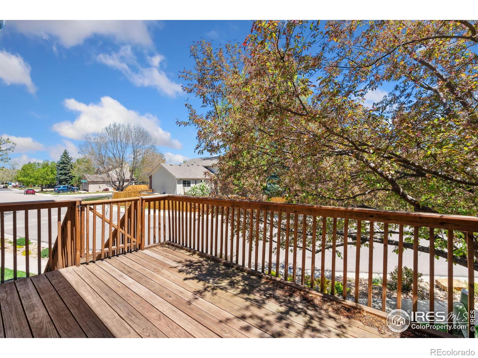 MLS Image #3 for 4238  gemstone lane,fort collins, Colorado