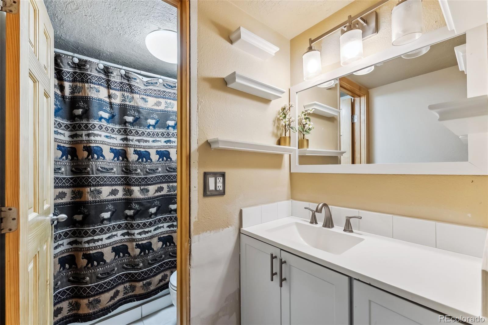 MLS Image #18 for 535  straight creek drive,dillon, Colorado