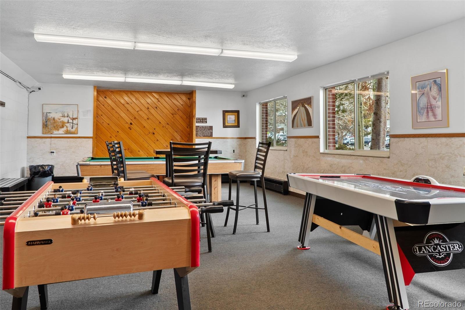 MLS Image #26 for 535  straight creek drive,dillon, Colorado