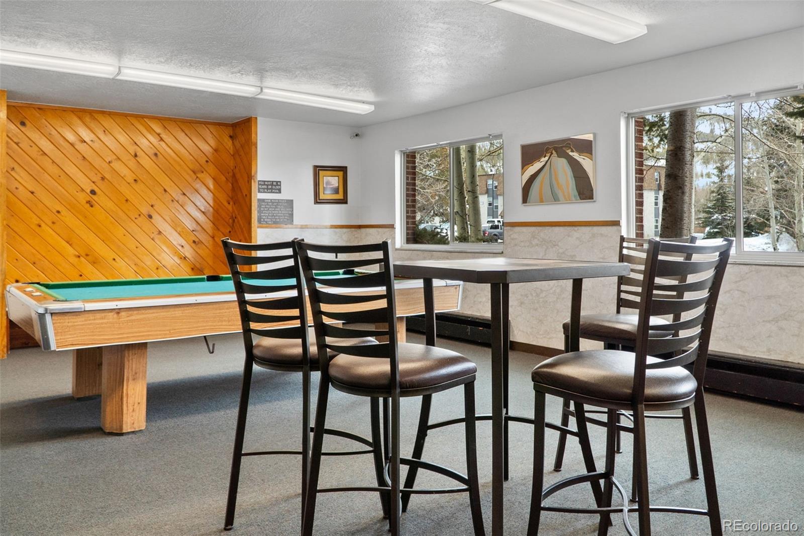 MLS Image #29 for 535  straight creek drive,dillon, Colorado