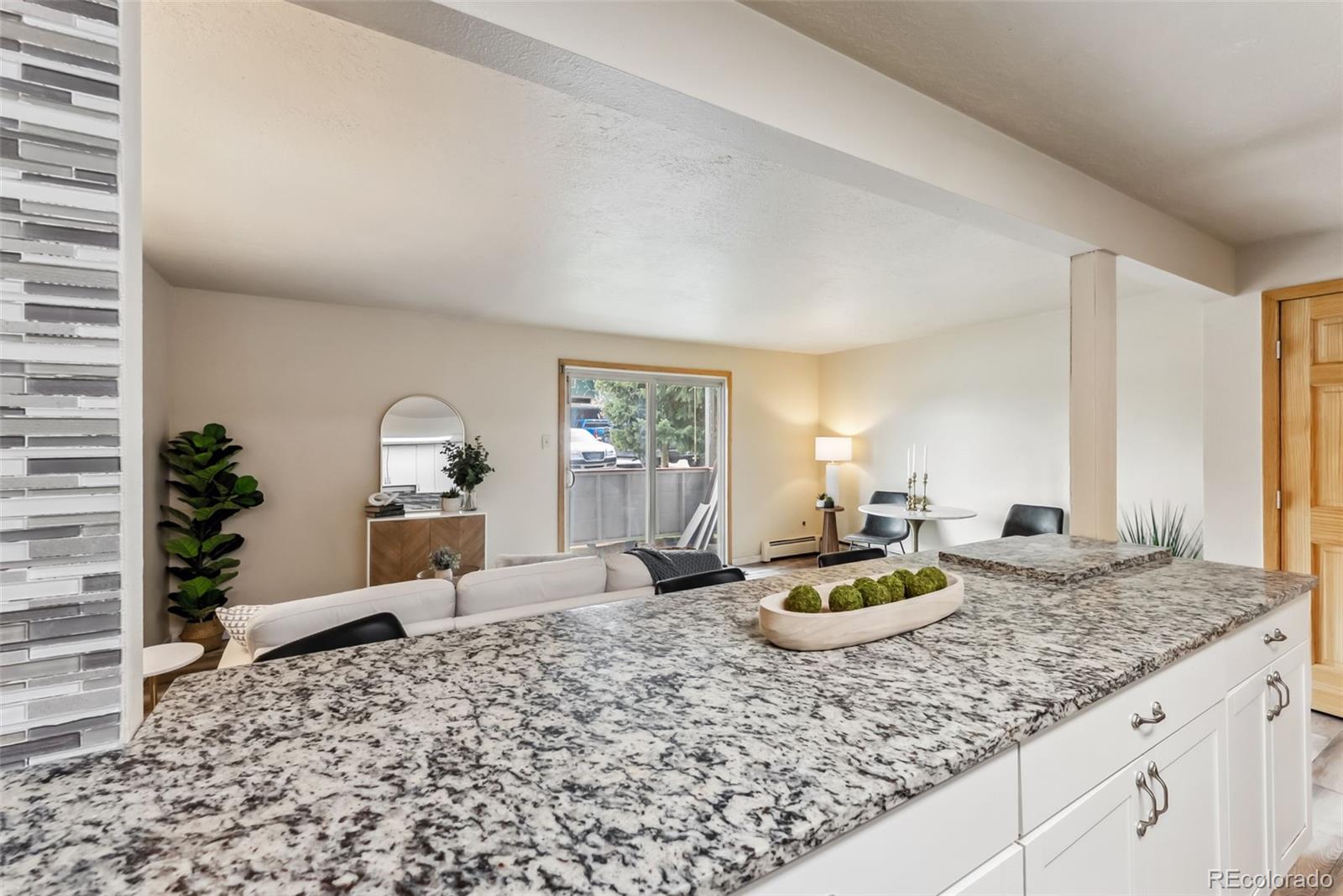 MLS Image #5 for 535  straight creek drive,dillon, Colorado