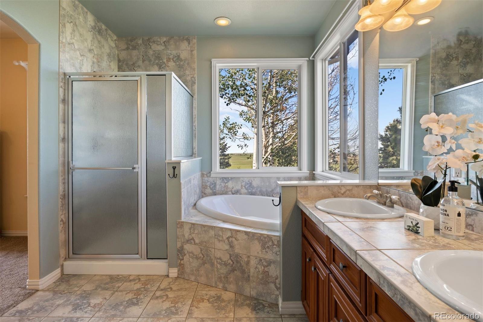 MLS Image #31 for 3519  zane gray loop,parker, Colorado
