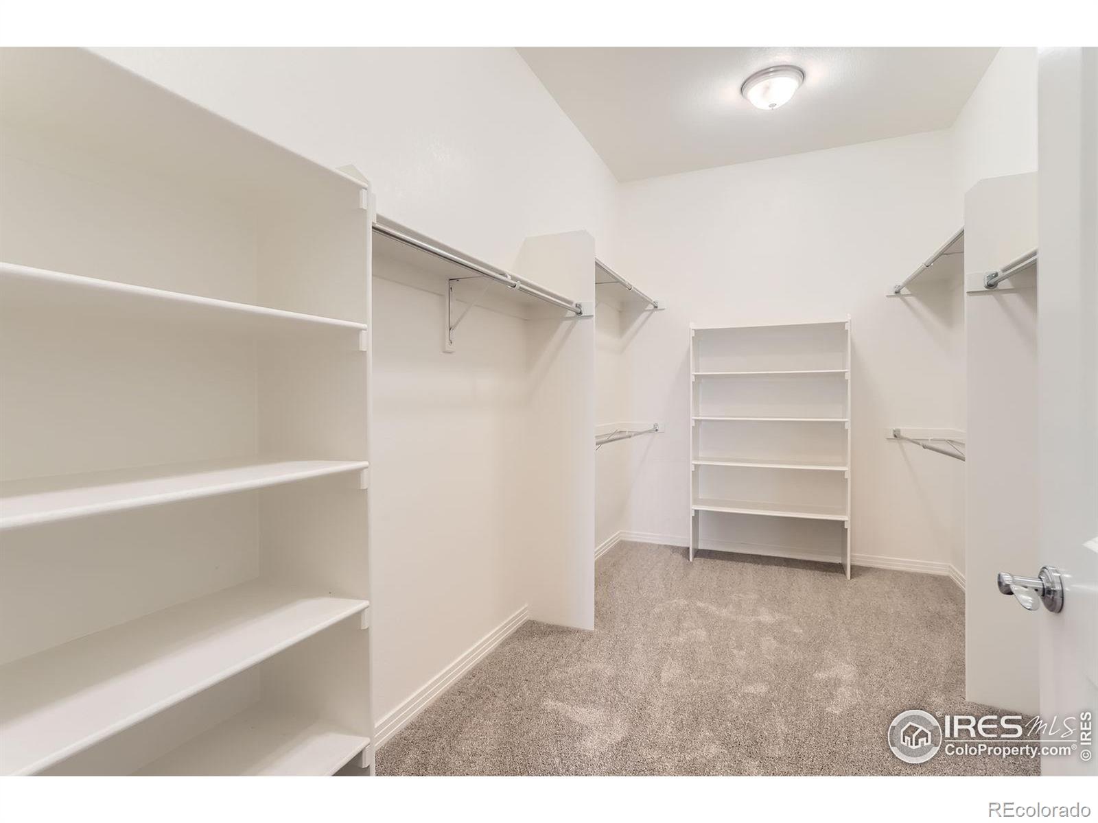 MLS Image #14 for 4419  maxwell avenue,longmont, Colorado
