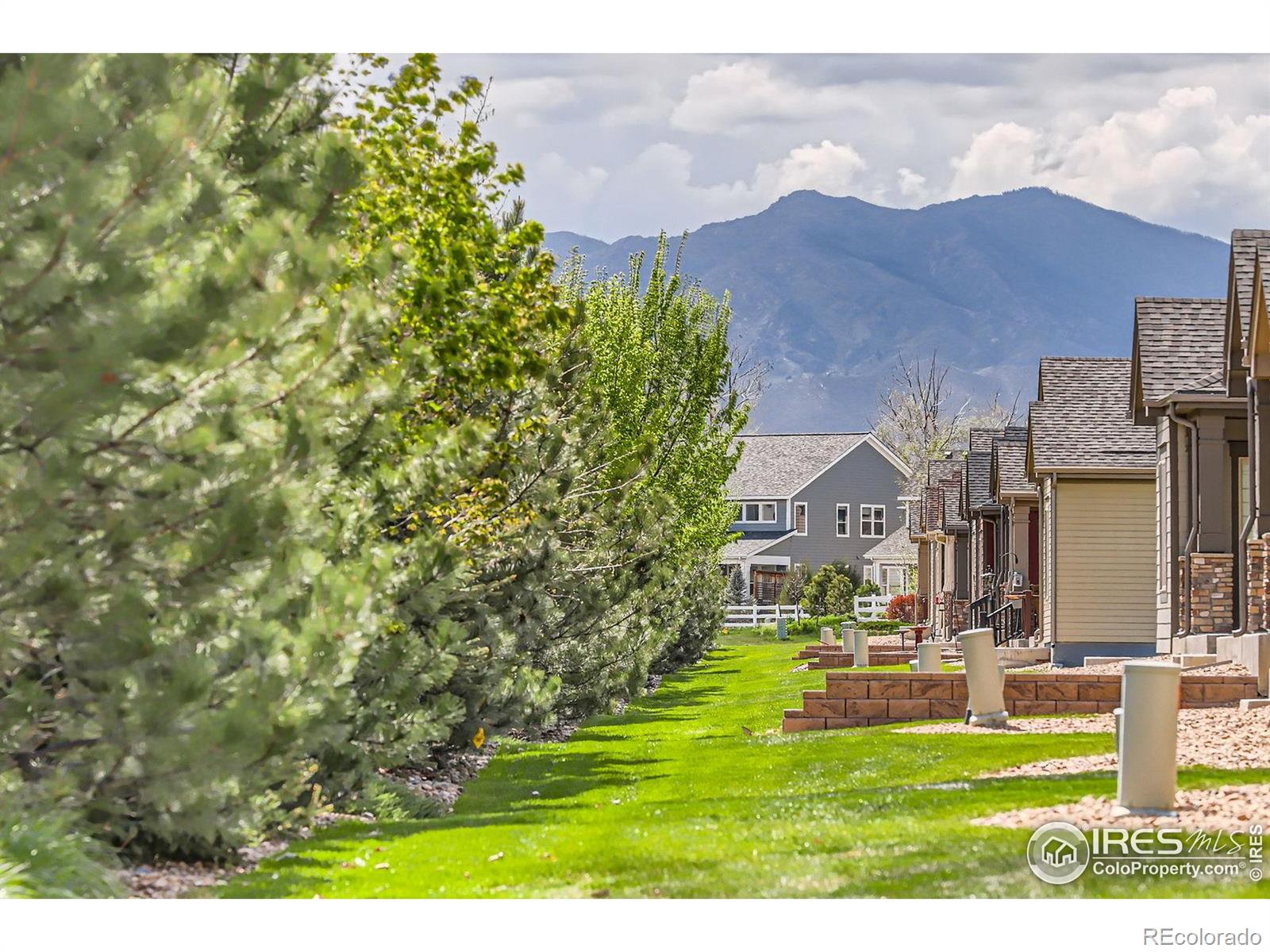 MLS Image #24 for 4419  maxwell avenue,longmont, Colorado