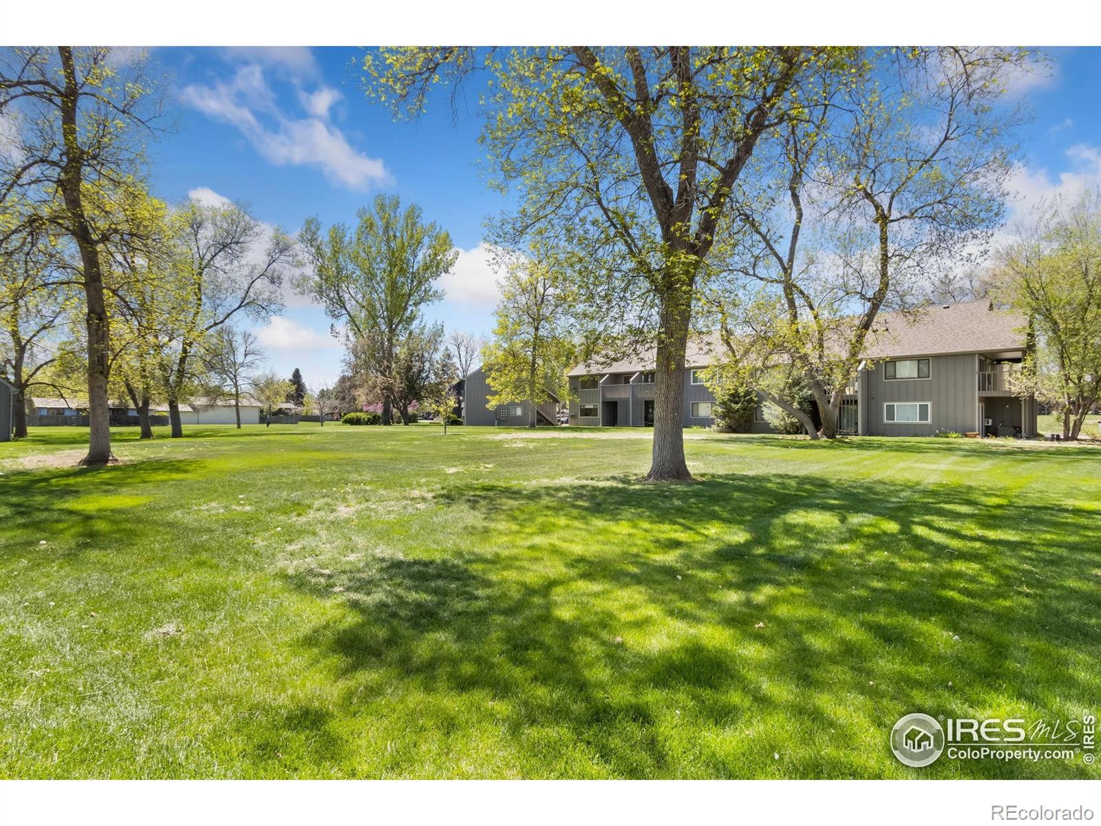 MLS Image #13 for 705 e drake road,fort collins, Colorado