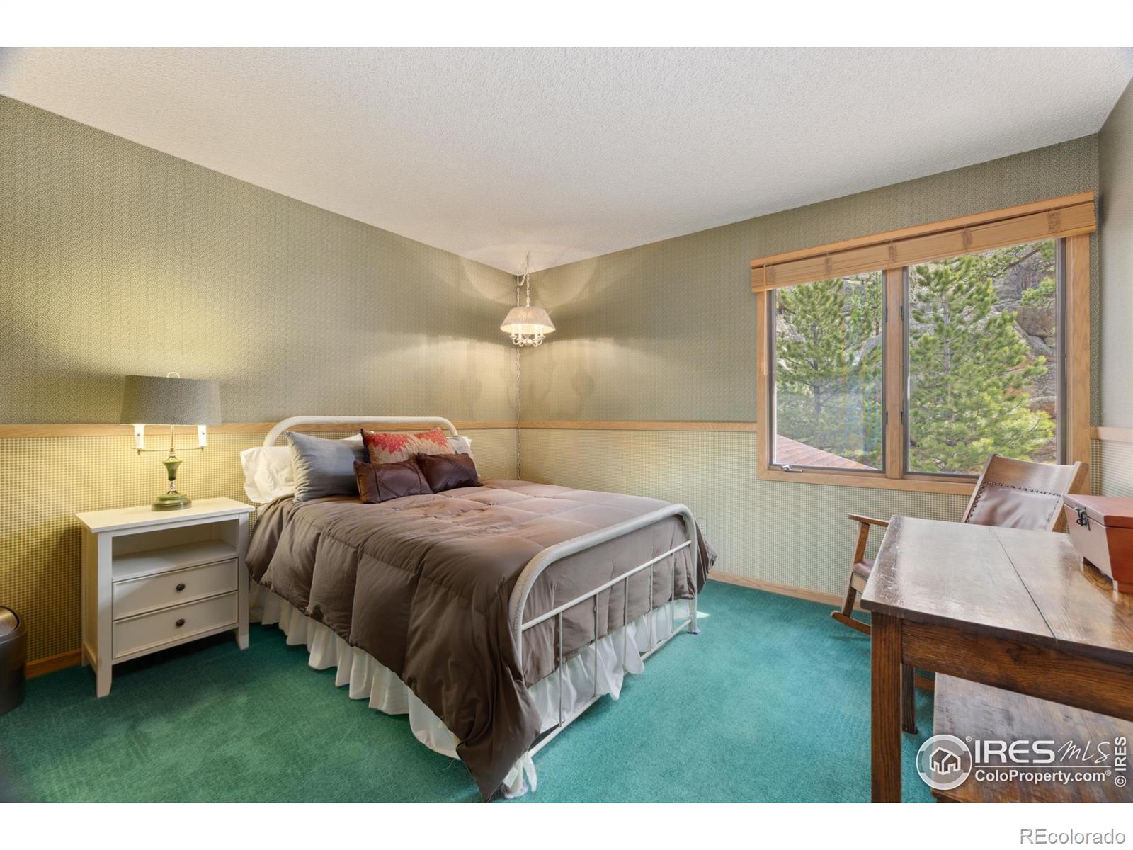 MLS Image #23 for 620  macgregor avenue,estes park, Colorado