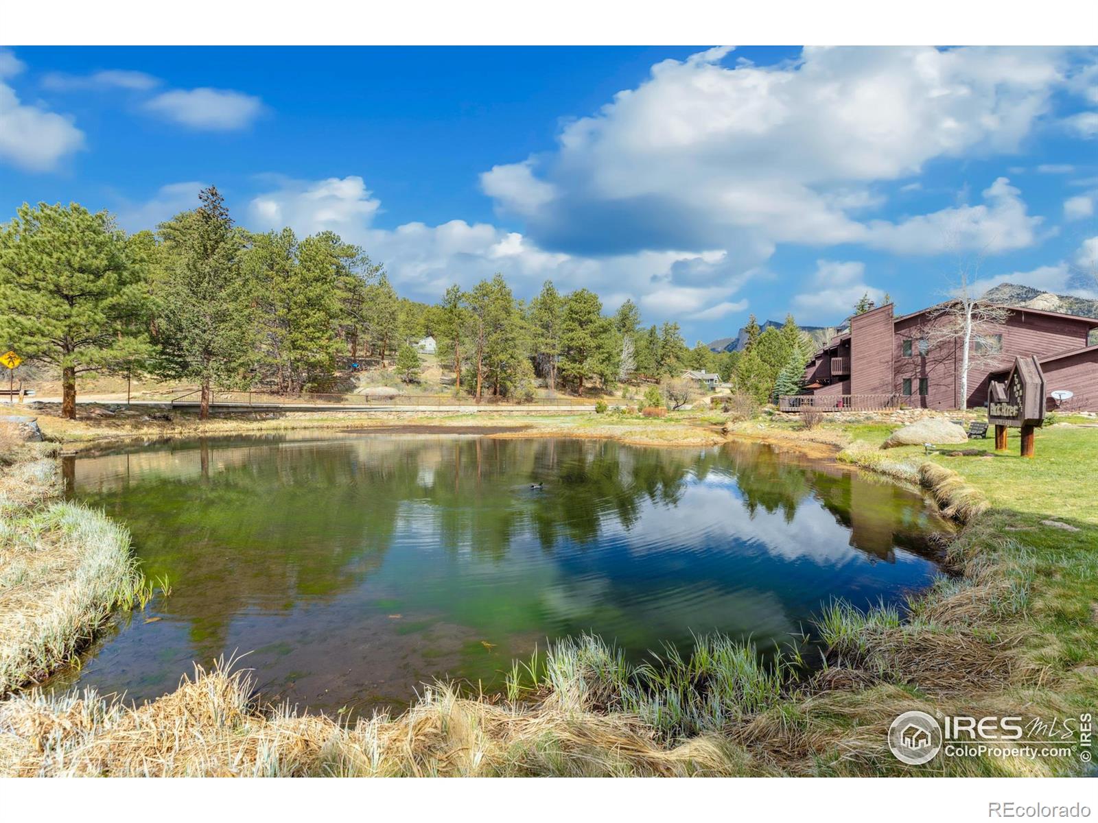 MLS Image #27 for 620  macgregor avenue,estes park, Colorado