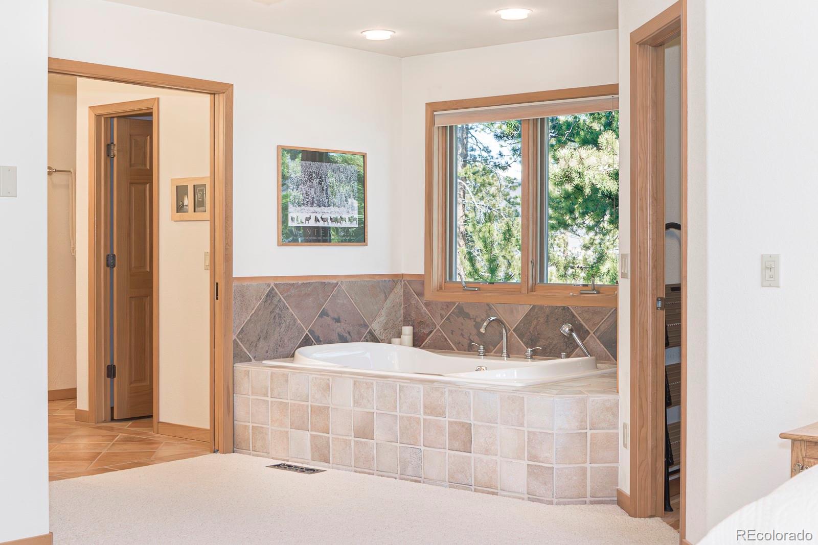 MLS Image #19 for 440  gcr 466 ,grand lake, Colorado