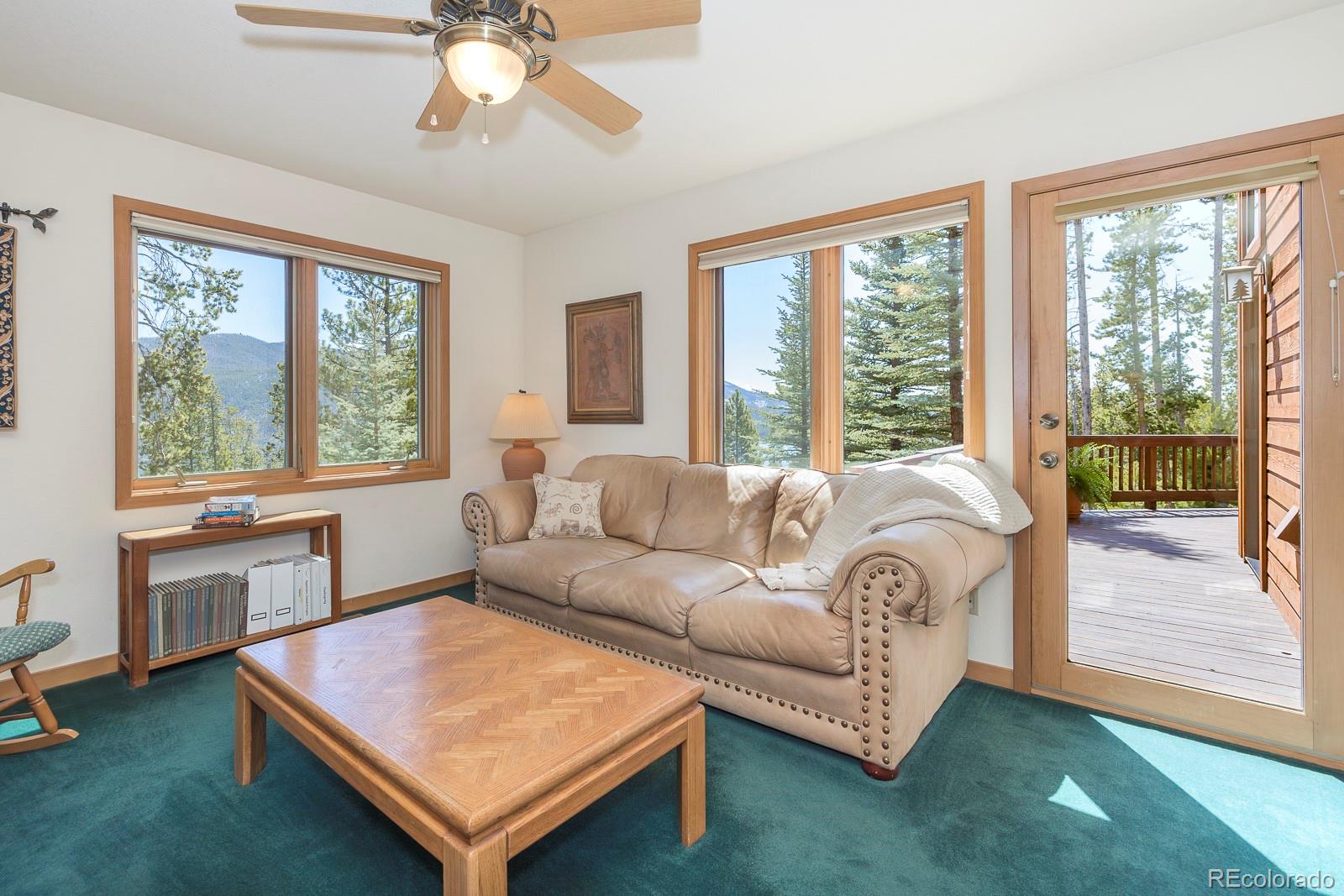 MLS Image #34 for 440  gcr 466 ,grand lake, Colorado