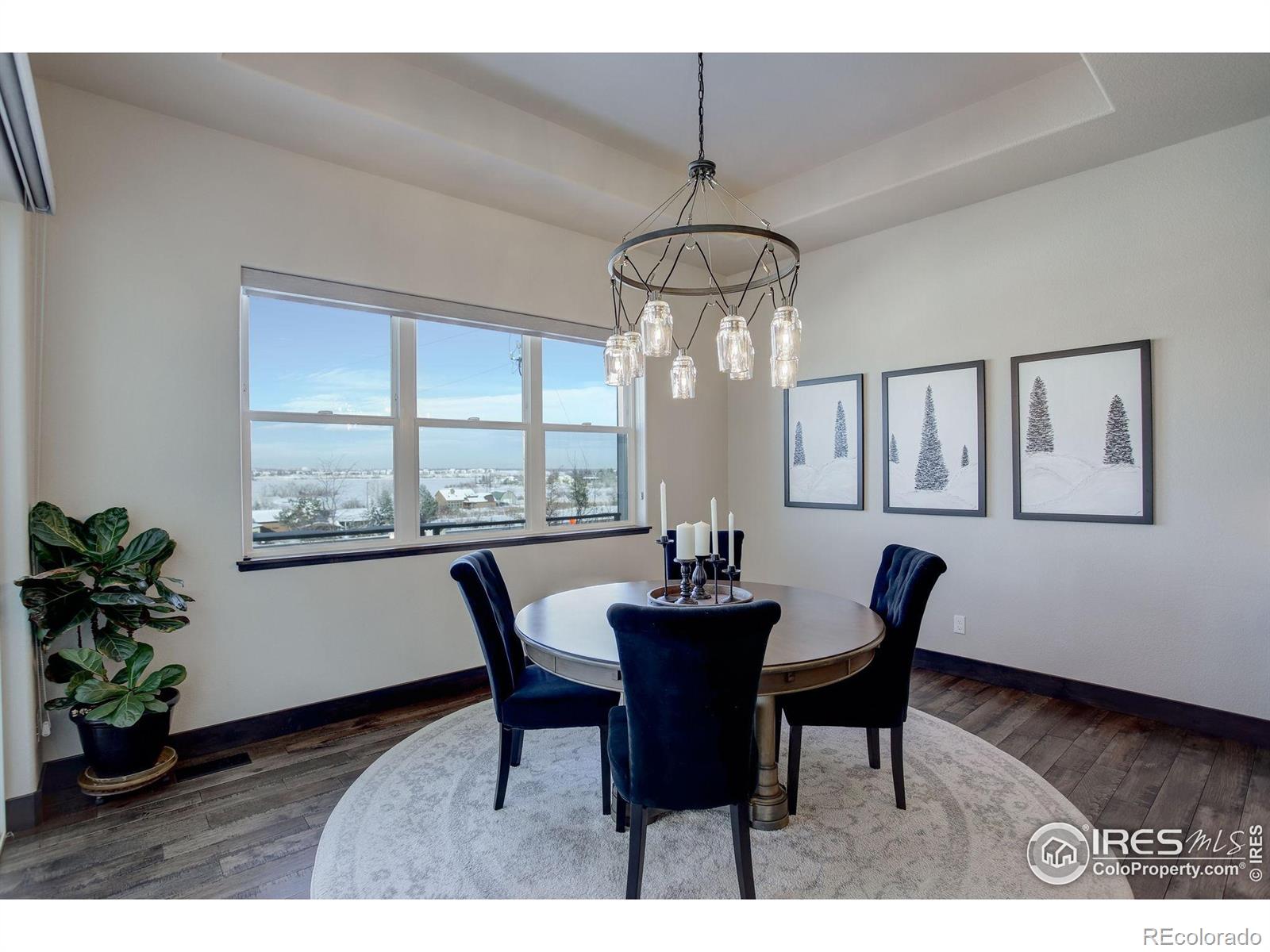 MLS Image #13 for 4821  hay wagon court,loveland, Colorado
