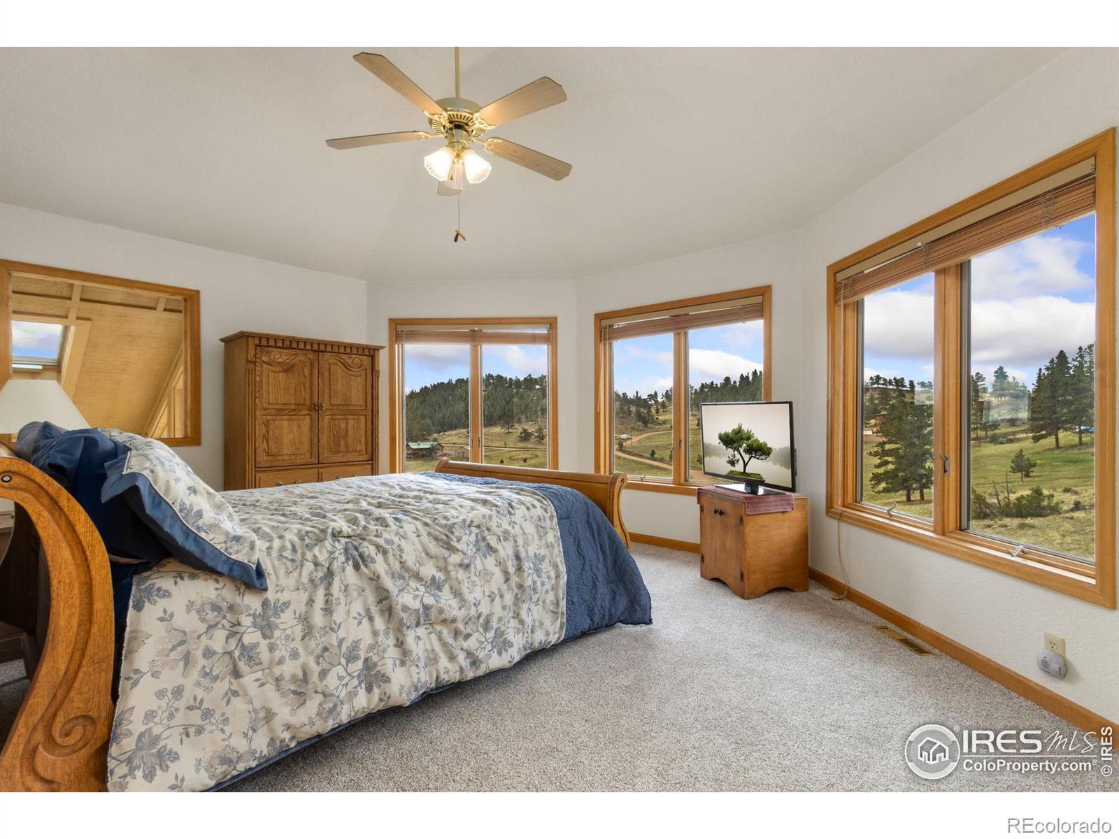 MLS Image #12 for 331  laplata drive,livermore, Colorado