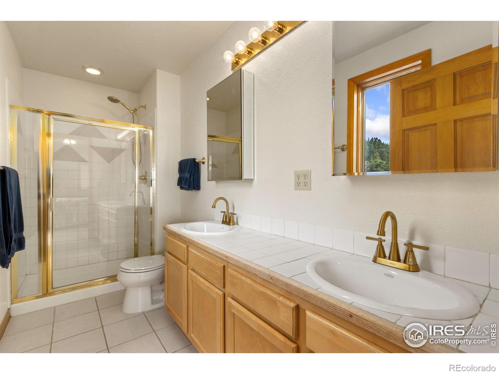 MLS Image #13 for 331  laplata drive,livermore, Colorado