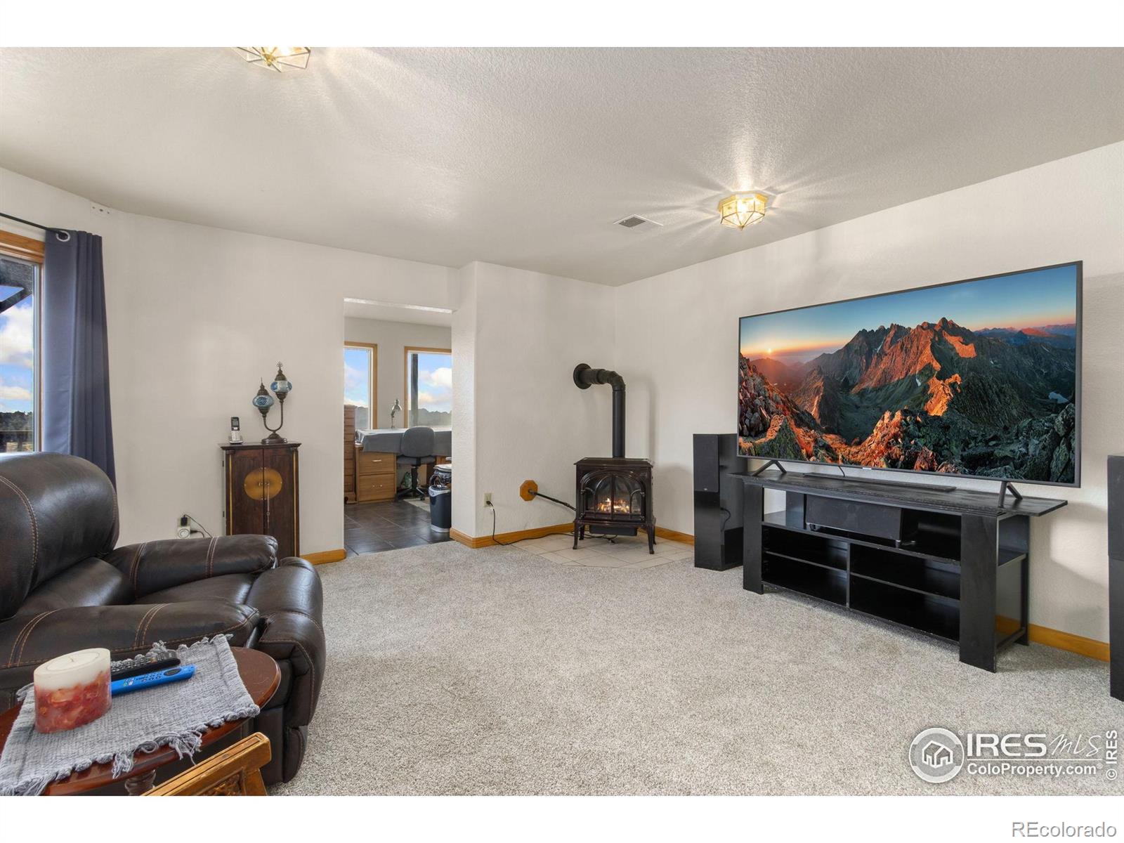MLS Image #16 for 331  laplata drive,livermore, Colorado