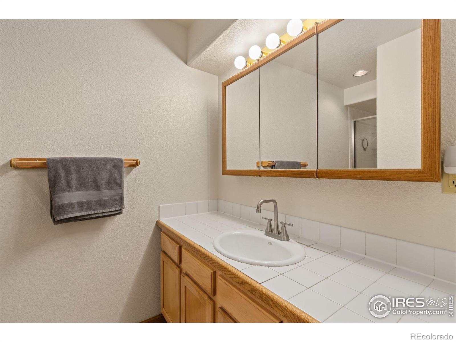 MLS Image #19 for 331  laplata drive,livermore, Colorado
