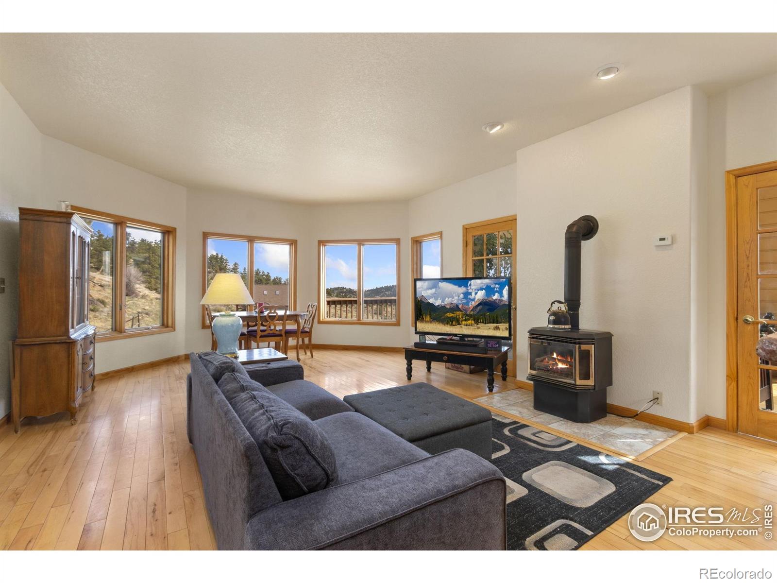 MLS Image #2 for 331  laplata drive,livermore, Colorado