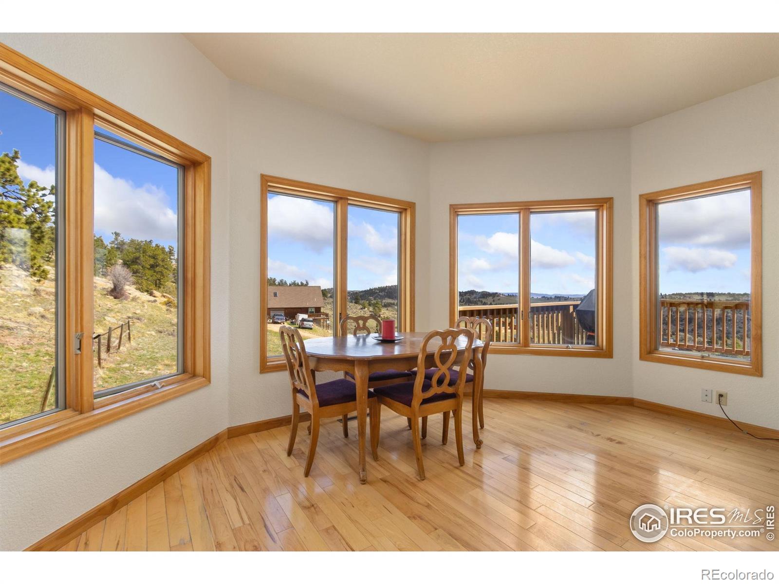 MLS Image #4 for 331  laplata drive,livermore, Colorado