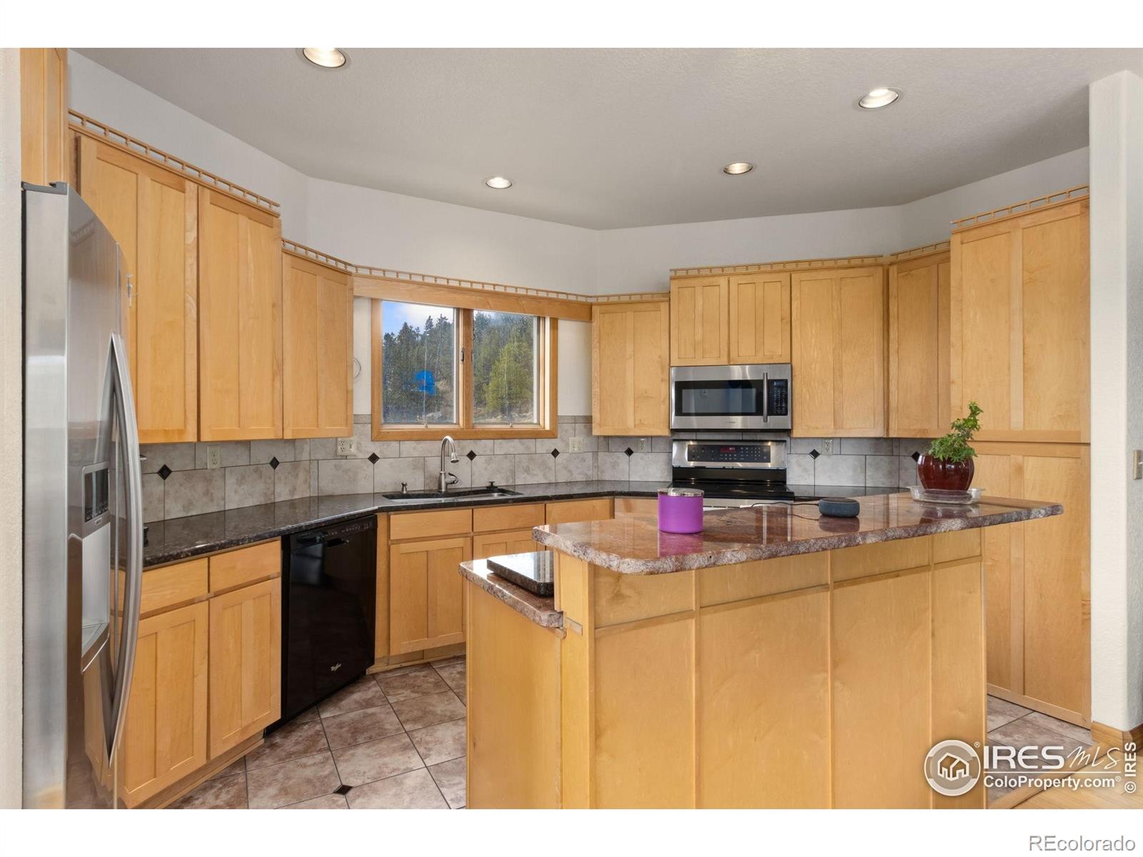 MLS Image #5 for 331  laplata drive,livermore, Colorado