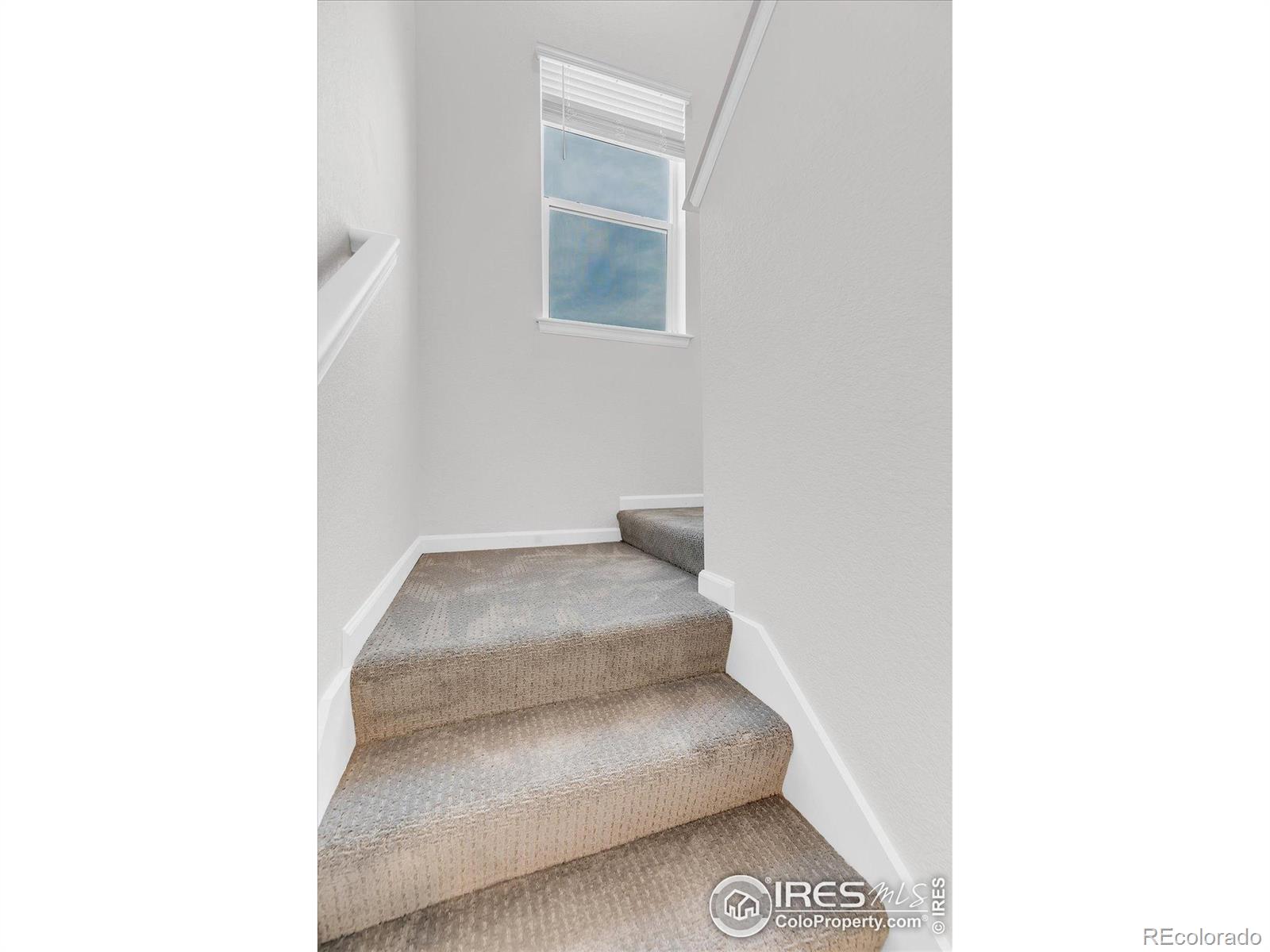 MLS Image #12 for 2161  gelbvieh street,mead, Colorado