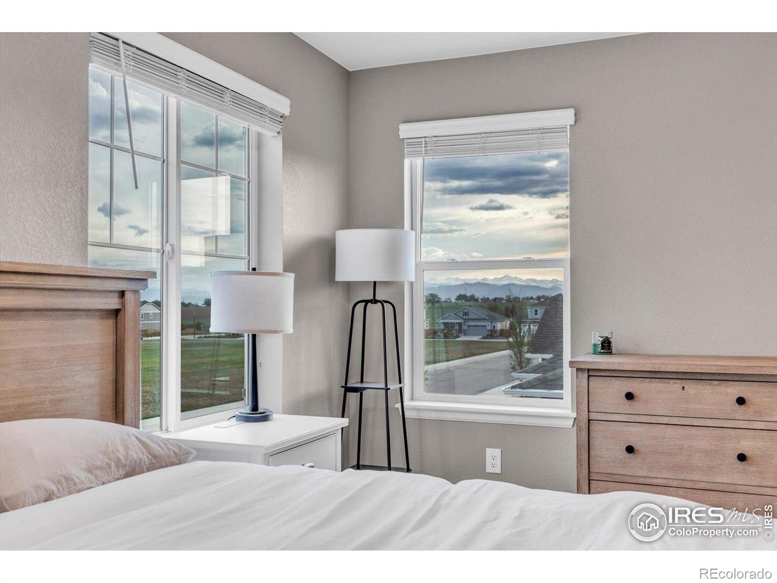 MLS Image #15 for 2161  gelbvieh street,mead, Colorado