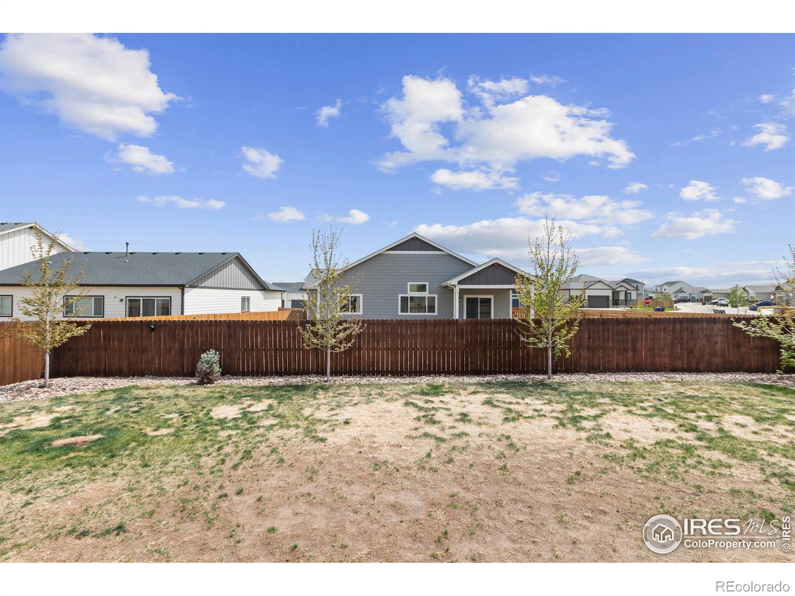 MLS Image #29 for 1510  kings crown drive,milliken, Colorado