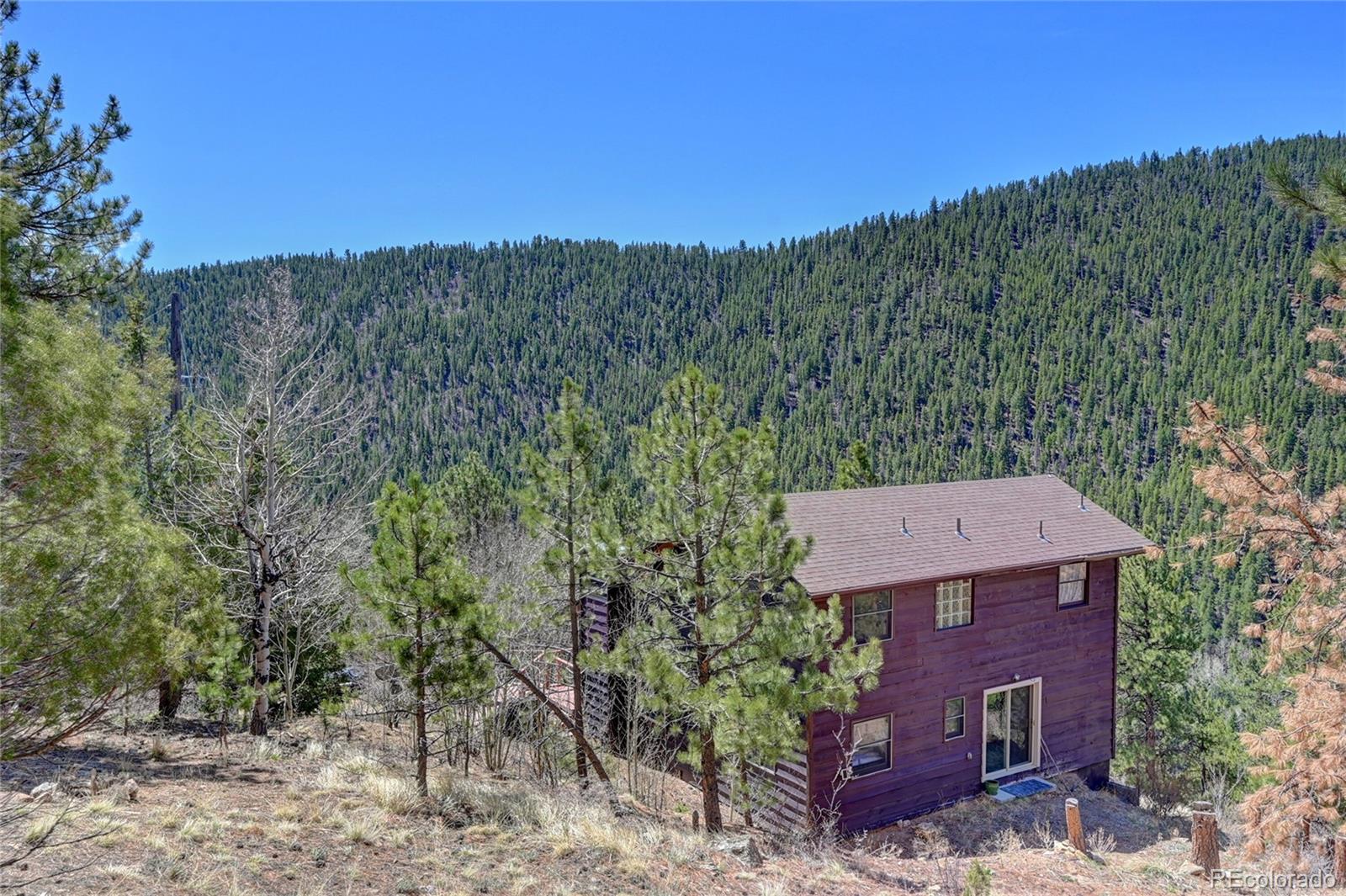 MLS Image #13 for 617  hummingbird trail,idaho springs, Colorado