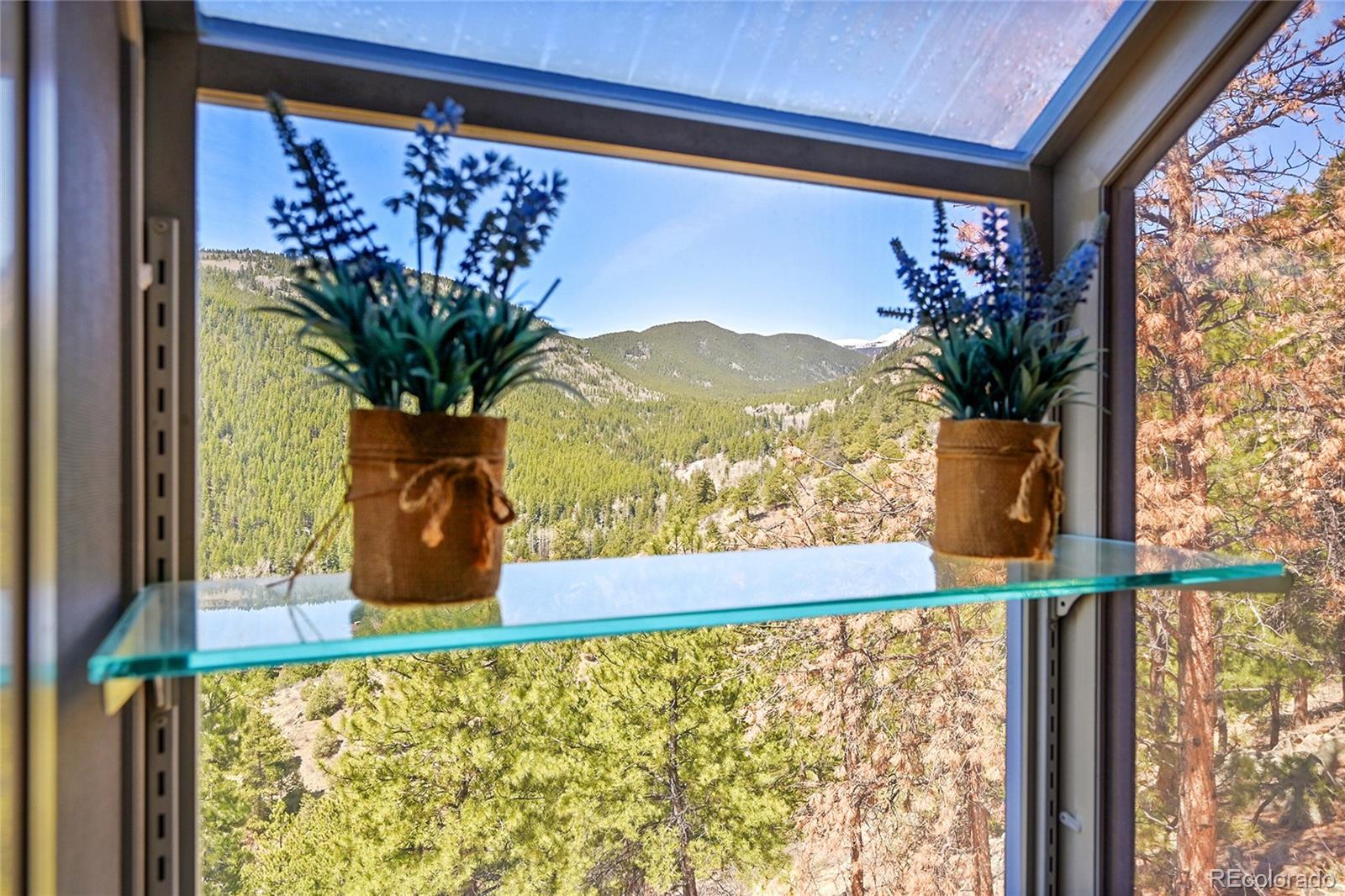 MLS Image #9 for 617  hummingbird trail,idaho springs, Colorado