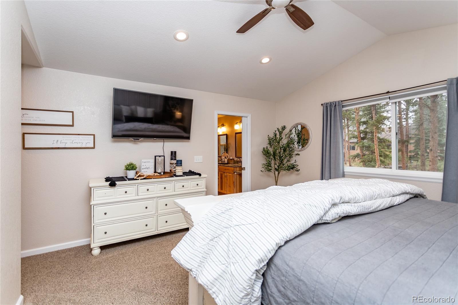 MLS Image #17 for 1136  ptarmigan drive,woodland park, Colorado