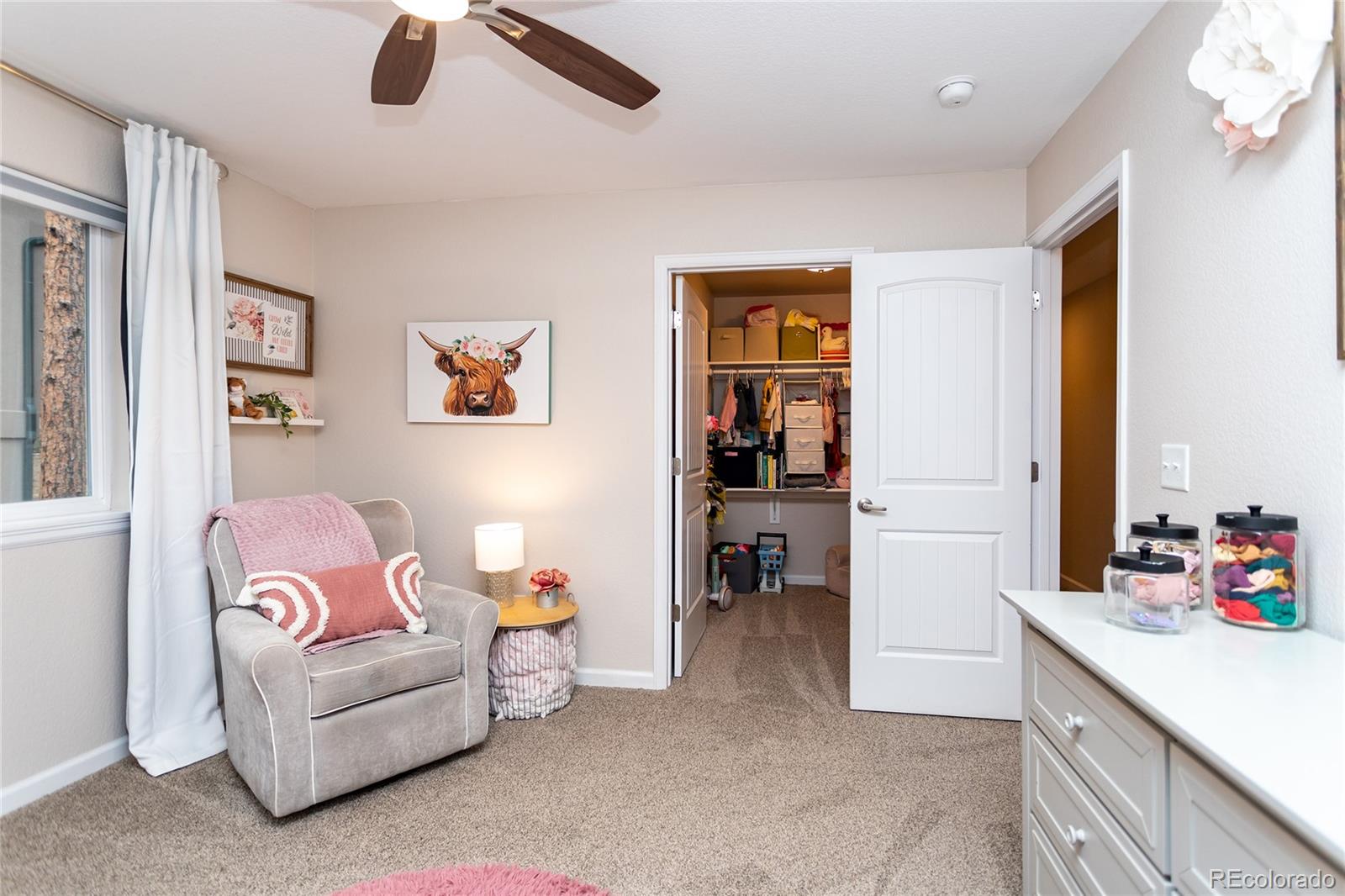 MLS Image #28 for 1136  ptarmigan drive,woodland park, Colorado