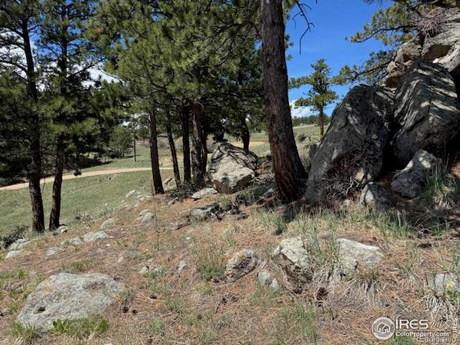 MLS Image #8 for 258  post boy road,boulder, Colorado