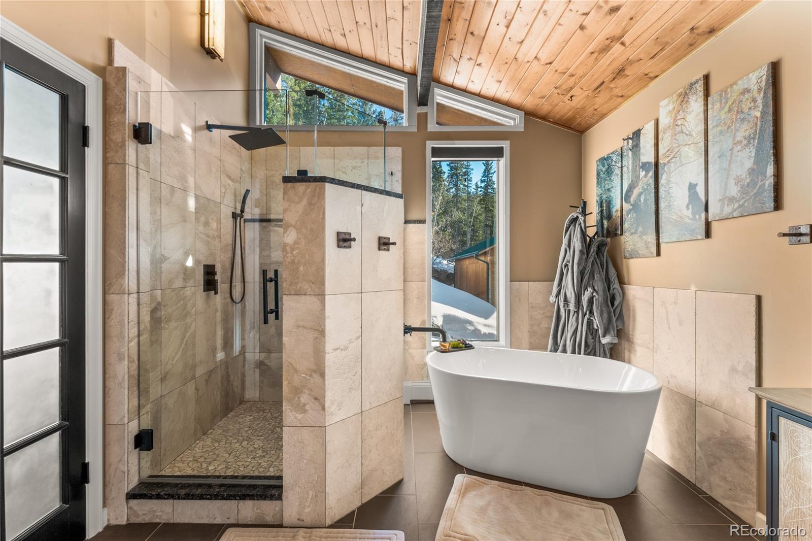 MLS Image #18 for 32094  christopher lane,conifer, Colorado