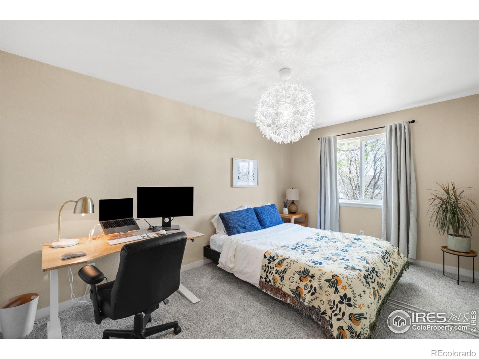 MLS Image #25 for 12506  maria circle,broomfield, Colorado