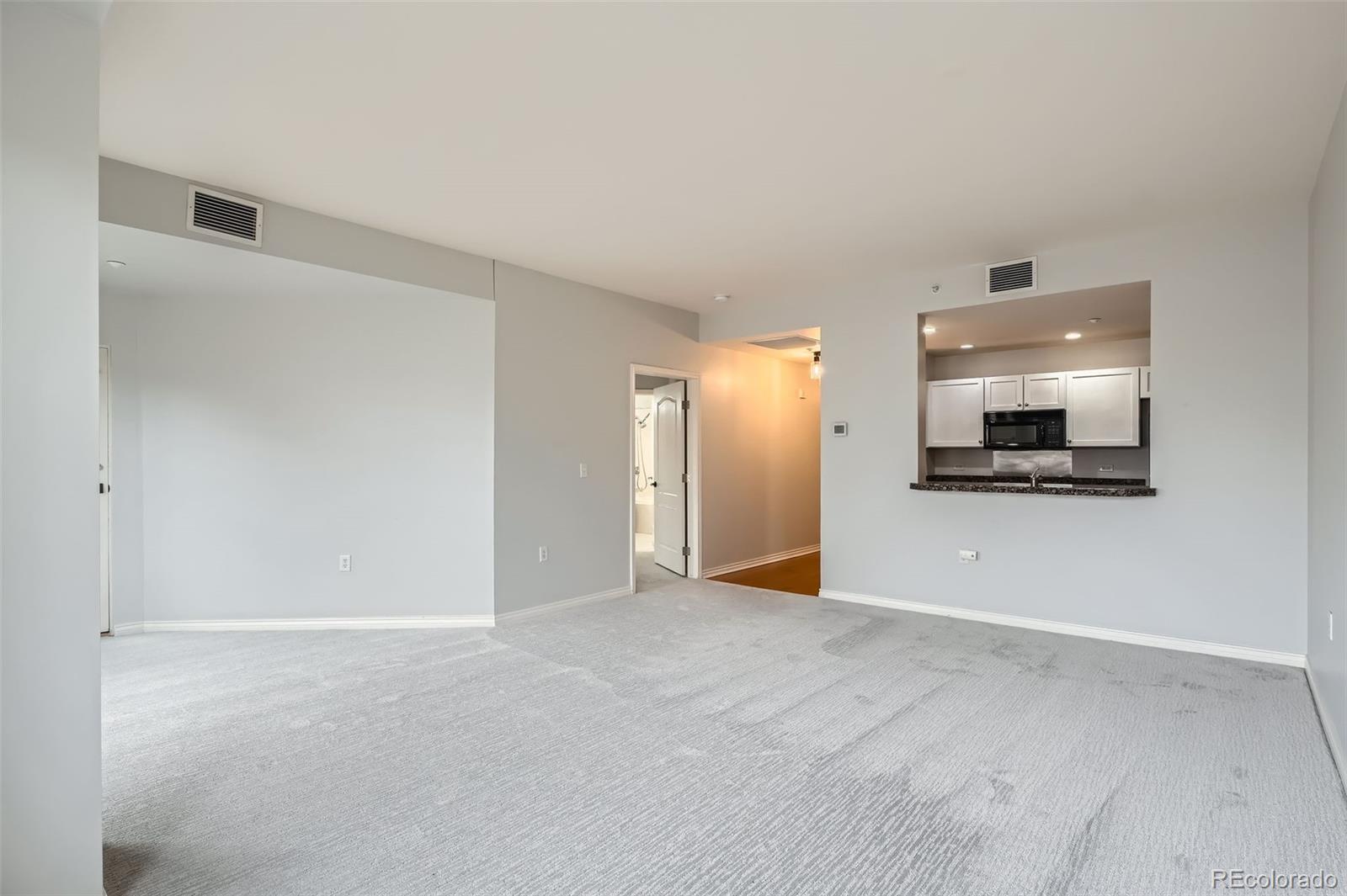 MLS Image #9 for 300 w 11th avenue,denver, Colorado