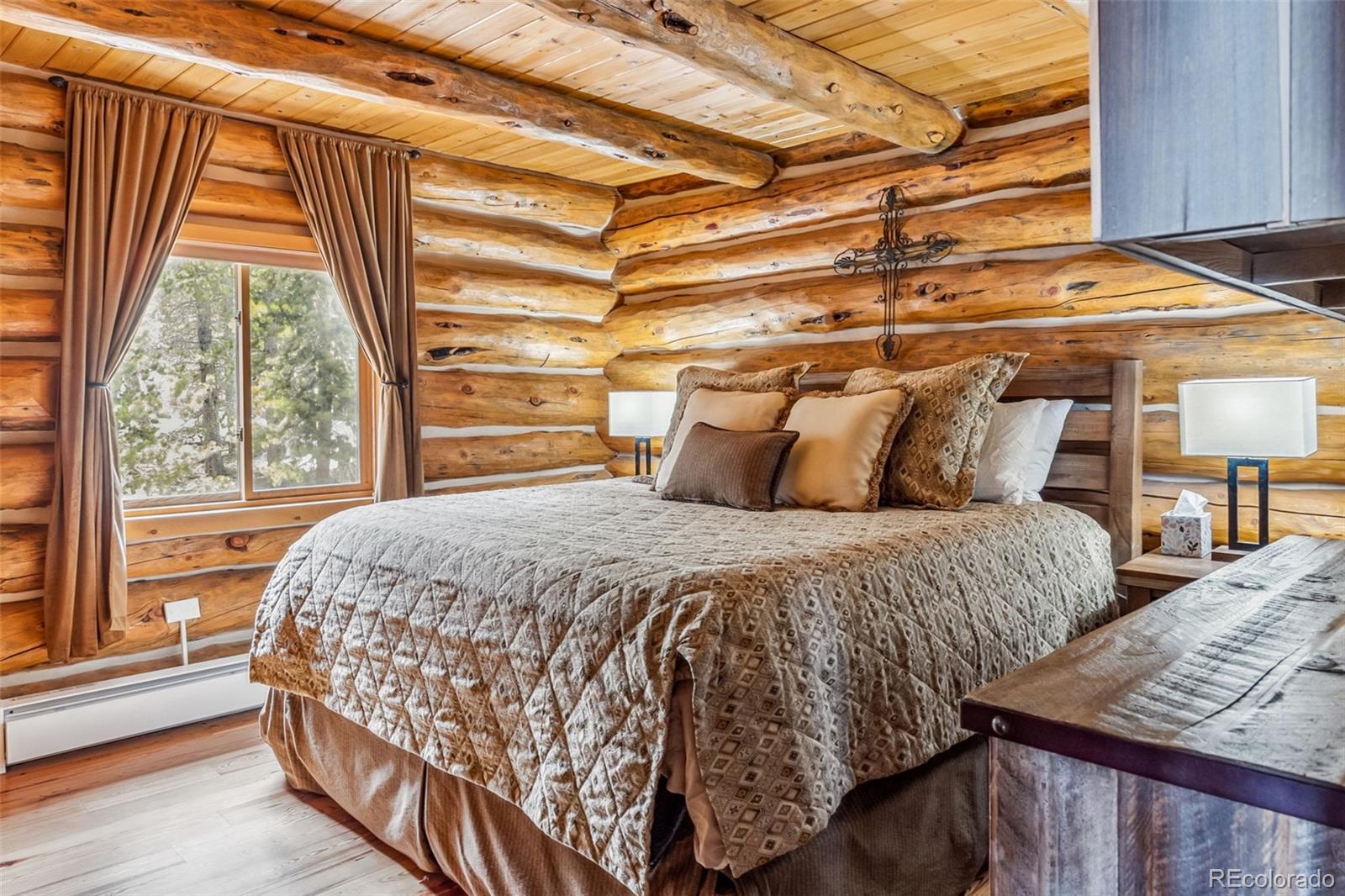 MLS Image #11 for 795  zebulon street,alma, Colorado